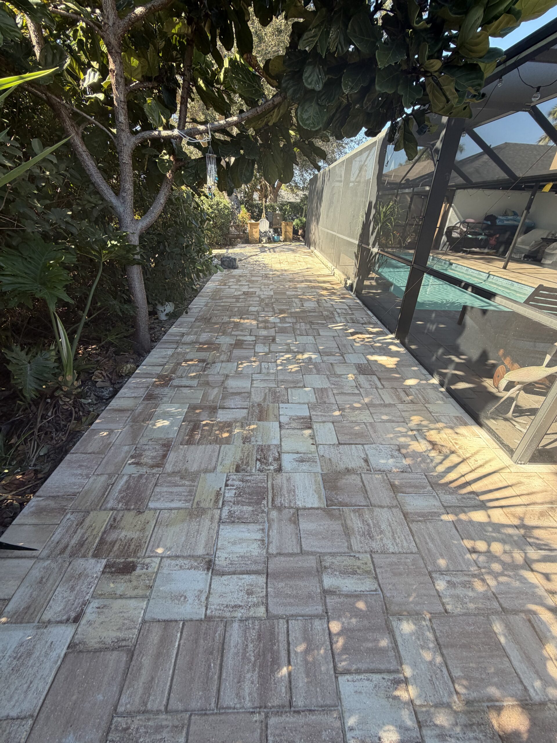 Paver pathway surrounded by lush greenery leading to a screened pool area in a Southwest Florida home, emphasizing the importance of paver maintenance for outdoor spaces.